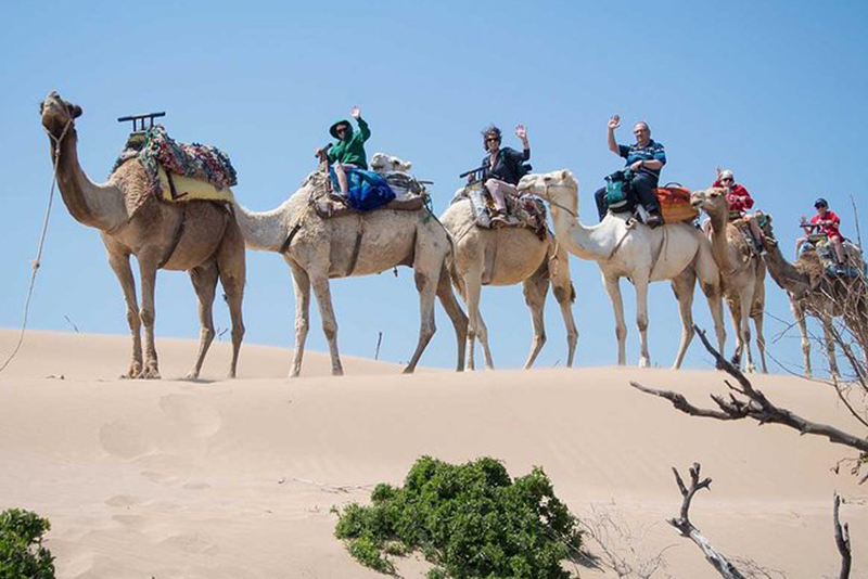 Excursión de un día completo desde Agadir al Pequeño Sahara