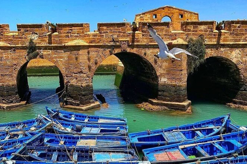 Excursión de un día completo desde Marrakech a Essaouira