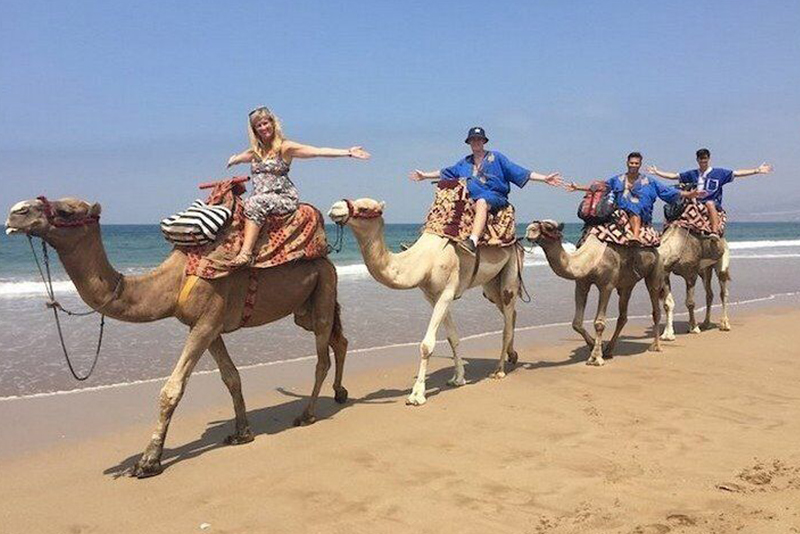 Camel Ride In Agadir