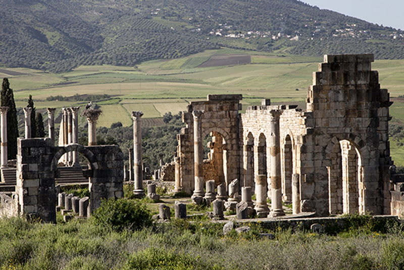 Full Day Trip From Fes To Meknes & Volubilis