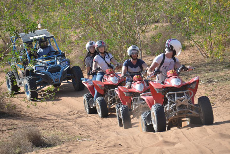 Quad & Buggy Activitie In Agadir